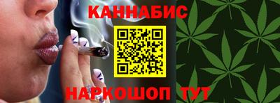 крисы Будённовск