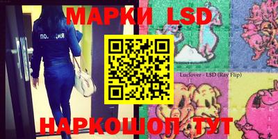 крисы Будённовск
