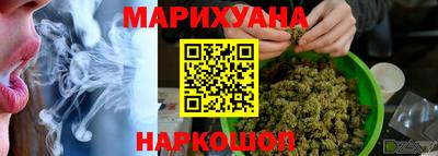 крисы Будённовск